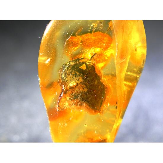 Pyrite In Amber