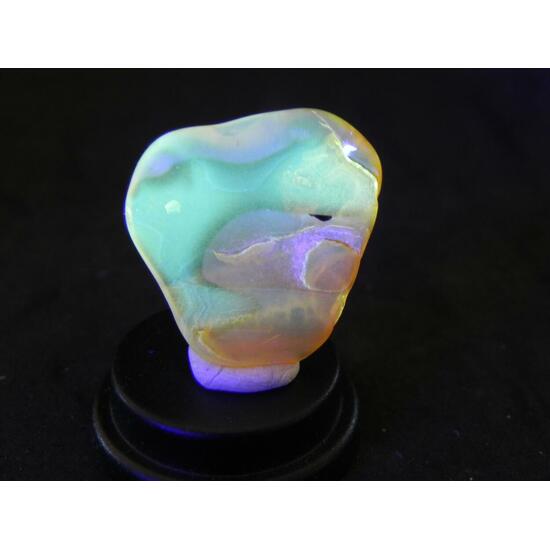 Amber With Inclusions