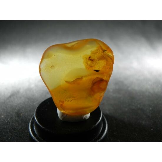 Amber With Inclusions