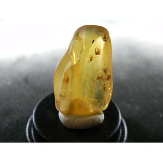 Amber With Inclusions