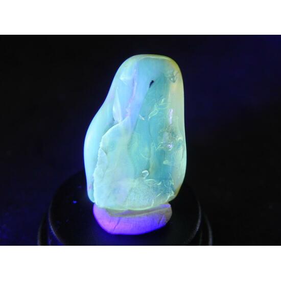 Amber With Inclusions