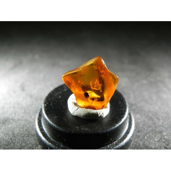 Amber With Inclusions