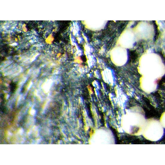 Nesquehonite & Huntite