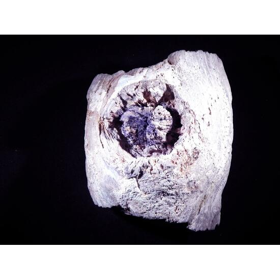 Fluorite & Quartz Psm Petrified Wood