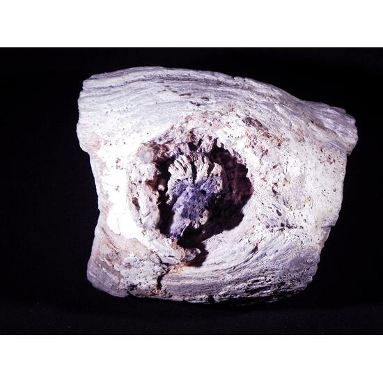 Fluorite & Quartz Psm Petrified Wood