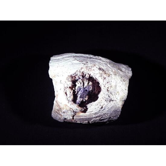 Fluorite & Quartz Psm Petrified Wood