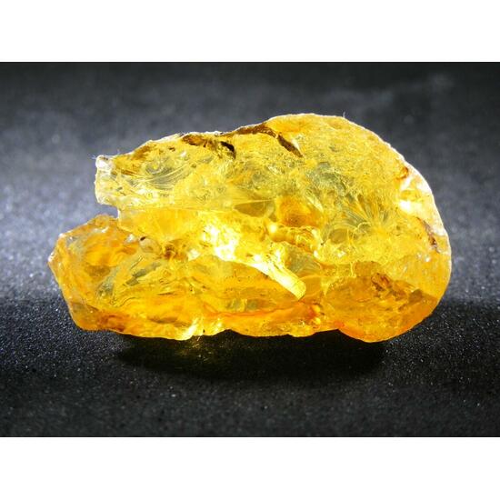Gedanite Amber