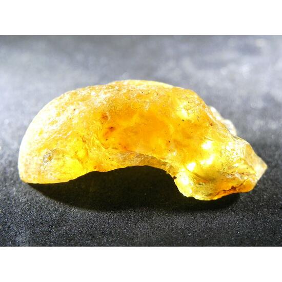 Gedanite Amber
