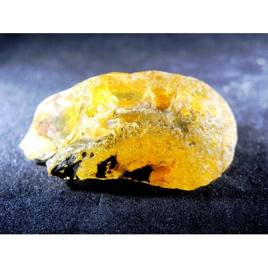 Gedanite Amber