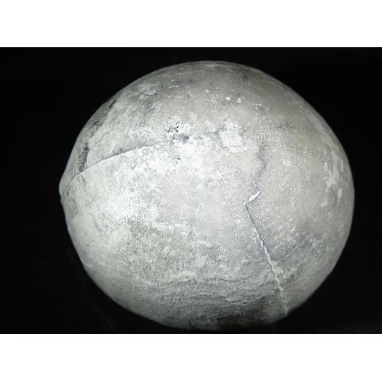 Fossil Sea Urchin With Pyrite