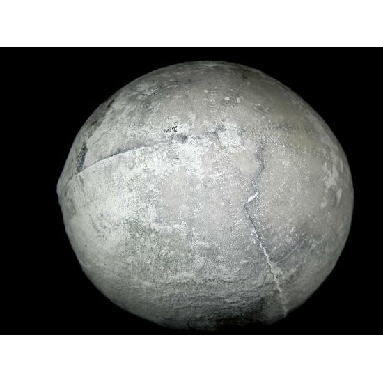 Fossil Sea Urchin With Pyrite