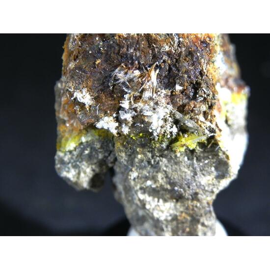 Zaccagnaite Blatonite & Gypsum