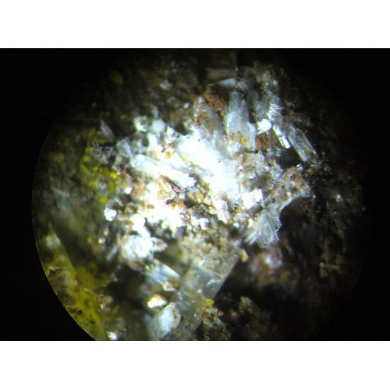 Zaccagnaite Blatonite & Gypsum