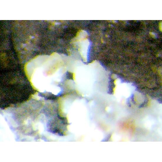 Zaccagnaite Blatonite & Gypsum