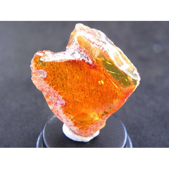 Amber With Inclusions