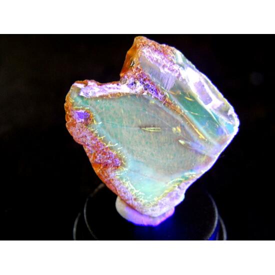 Amber With Inclusions