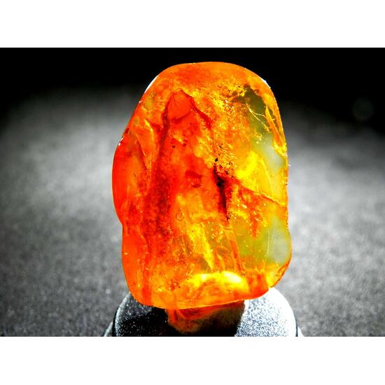 Amber With Inclusions