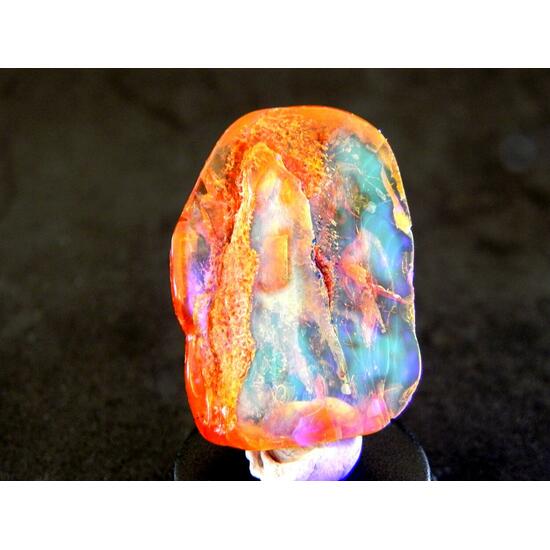 Amber With Inclusions