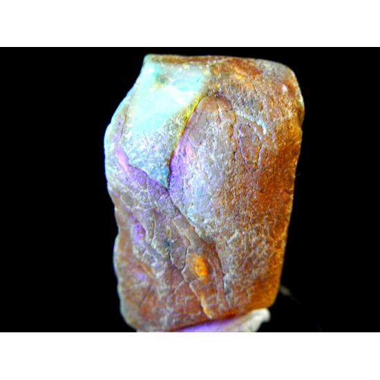 Amber With Inclusions