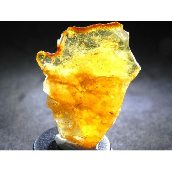 Amber With Inclusions