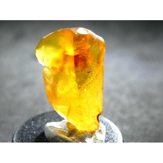 Amber With Inclusions