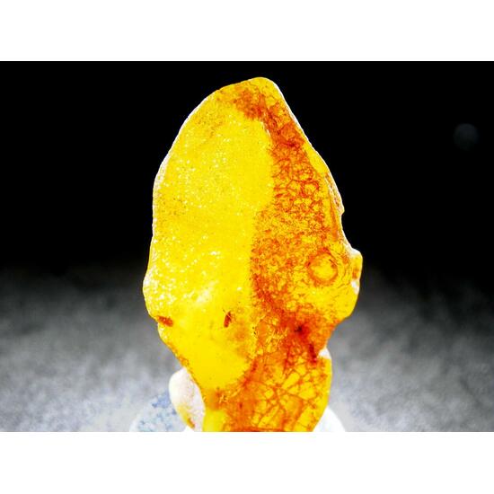 Amber With Inclusions