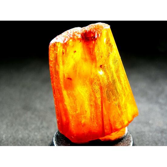 Amber With Inclusions