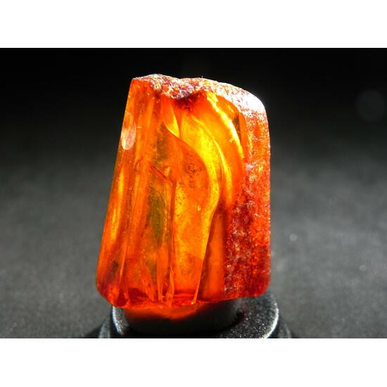 Amber With Inclusions