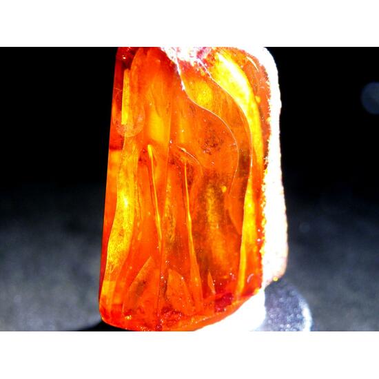 Amber With Inclusions