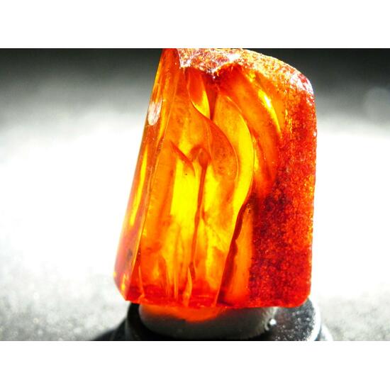 Amber With Inclusions