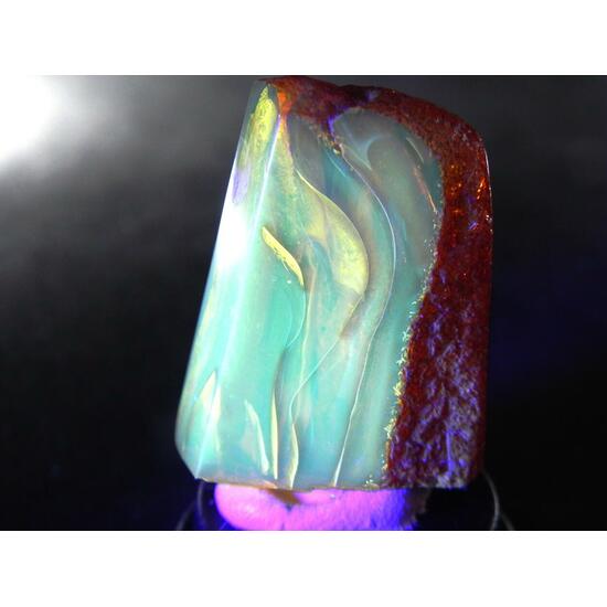 Amber With Inclusions