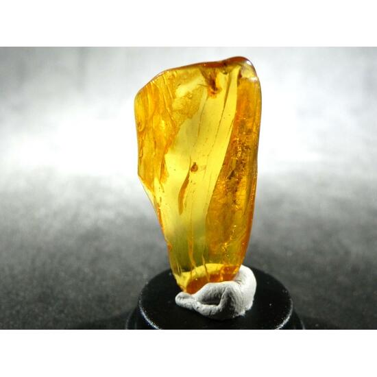 Amber With Inclusions