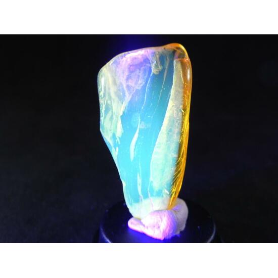 Amber With Inclusions