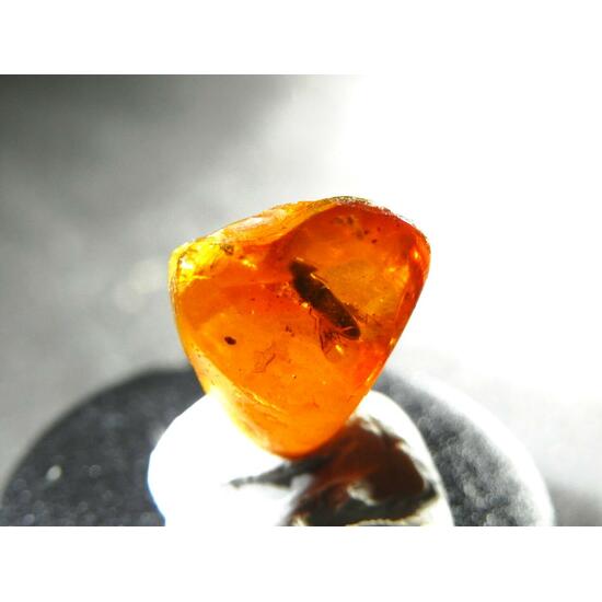 Amber With Inclusions
