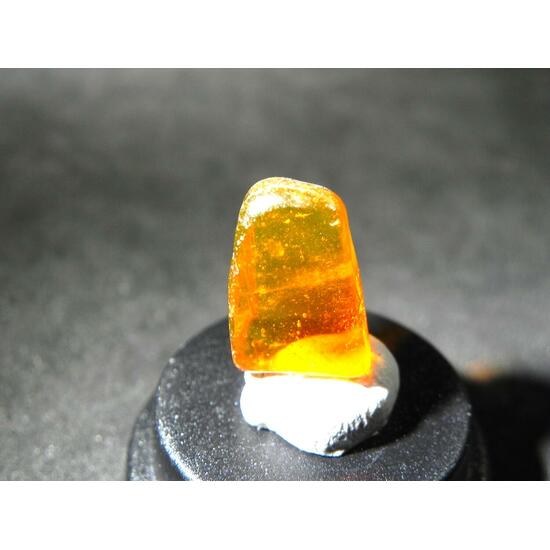 Amber With Inclusions