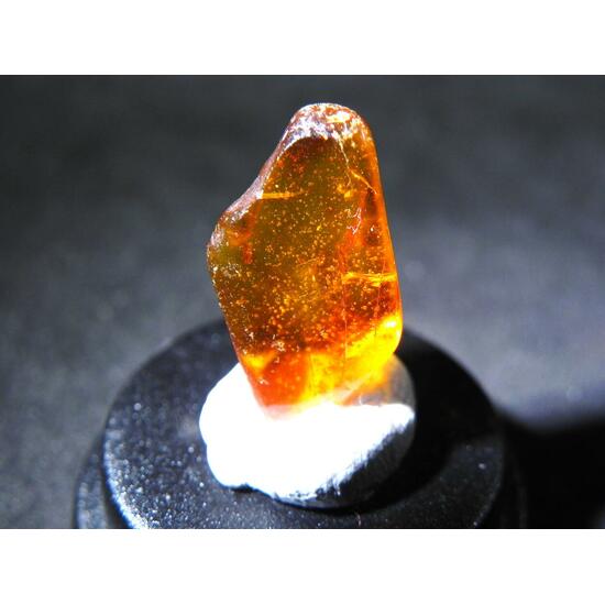 Amber With Inclusions