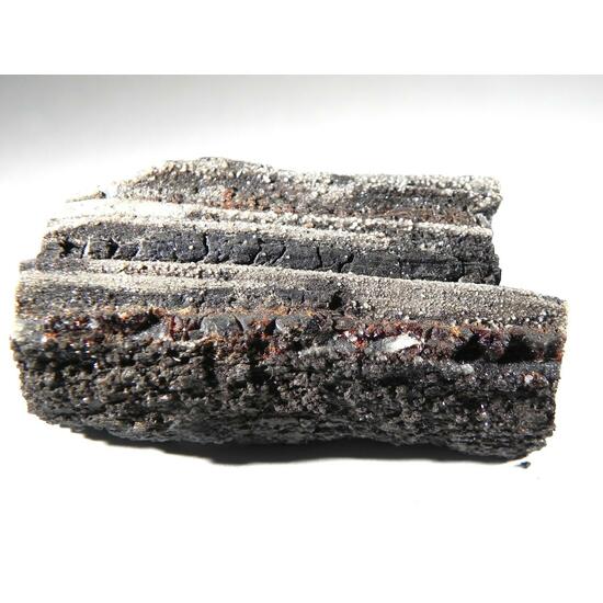 Duxite Amber On Petrified Wood