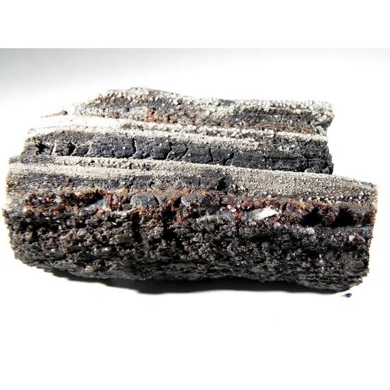 Duxite Amber On Petrified Wood