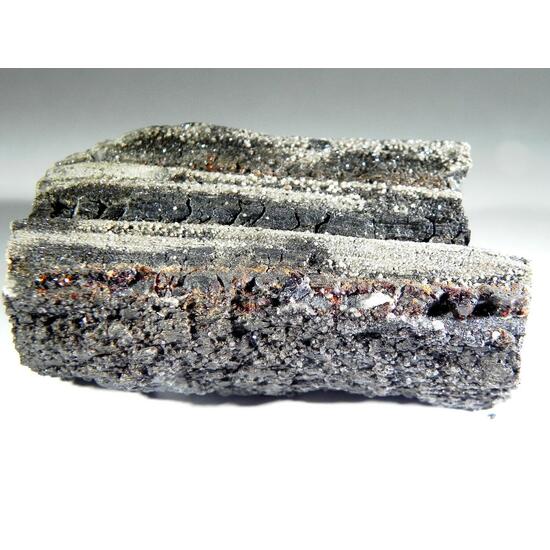 Duxite Amber On Petrified Wood