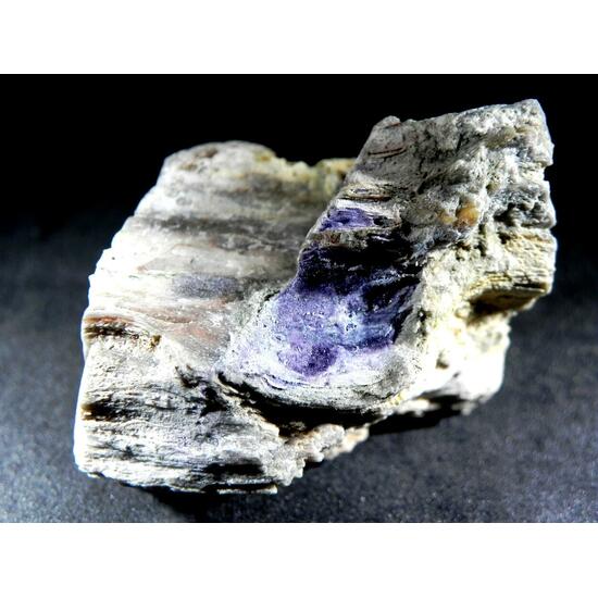 Fluorite & Quartz Psm Petrified Wood