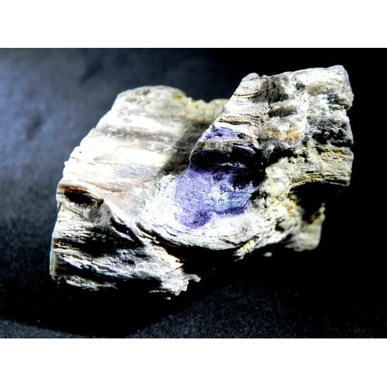 Fluorite & Quartz Psm Petrified Wood