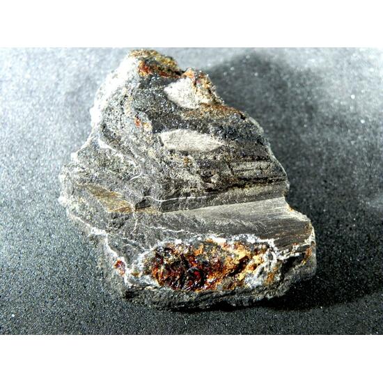 Duxite Amber In Petrified Wood