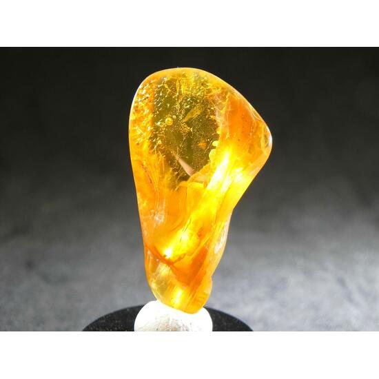 Amber With Inclusions