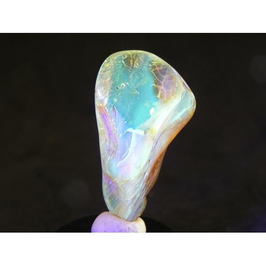 Amber With Inclusions