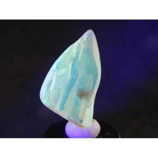 Amber With Inclusions