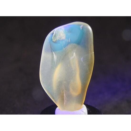 Amber With Inclusions