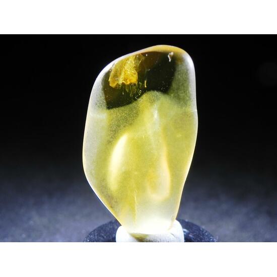 Amber With Inclusions
