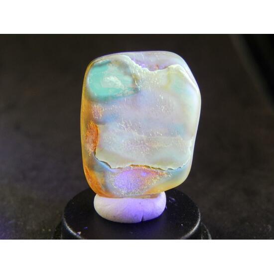 Amber With Inclusions