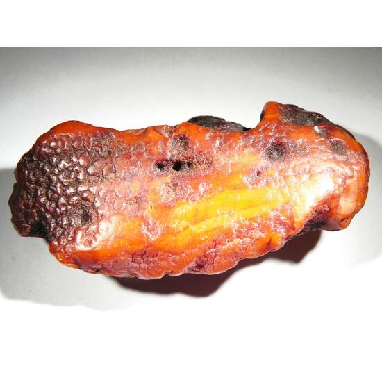 Amber Succinite