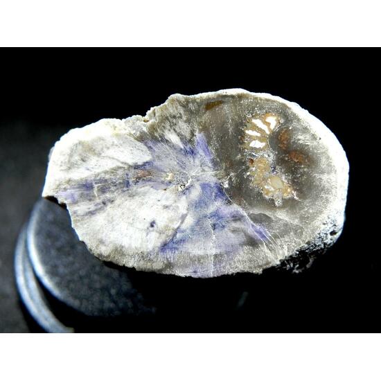 Fluorite & Quartz Psm Petrified Wood